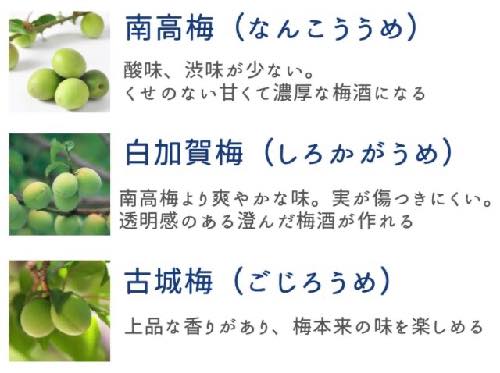 梅の種類もチェック